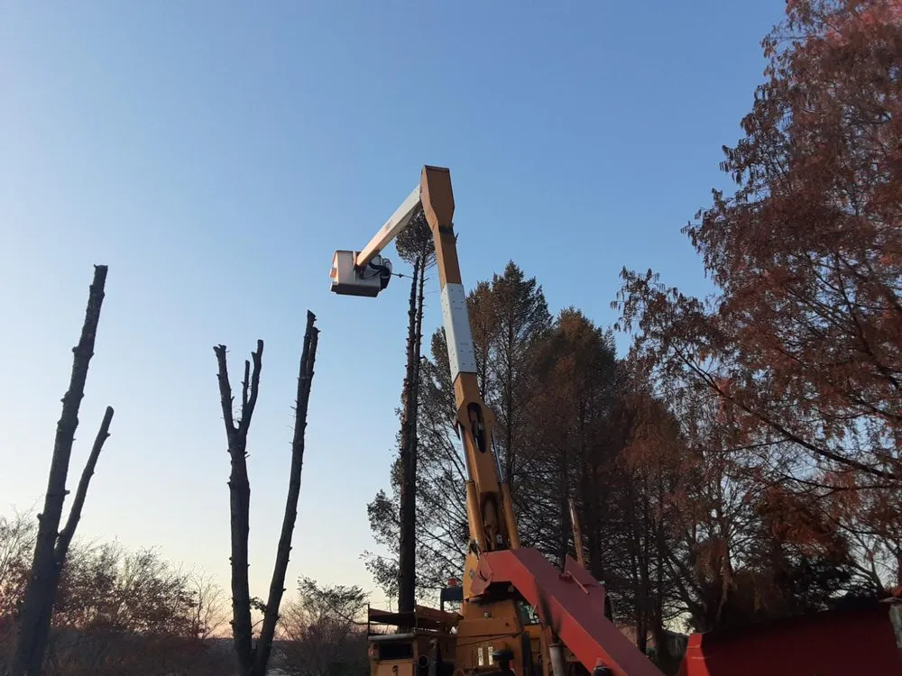 Reliable yard maintenance in Lancaster, PA by HBA Landscaping