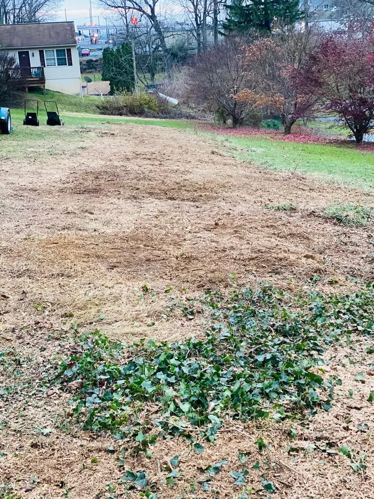 Affordable residential landscaping in Lancaster, PA by HBA Landscaping