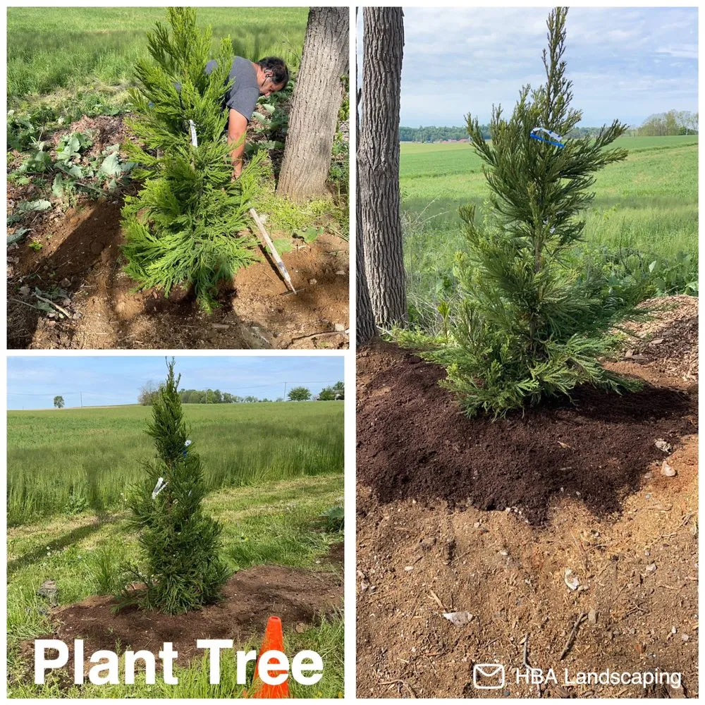 Reliable residential landscaping in Lancaster, PA - HBA Landscaping