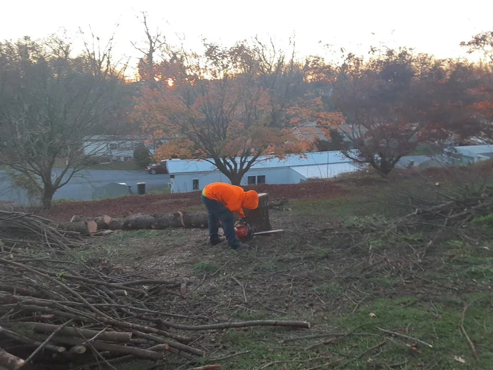 Custom landscaping services for outdoor upgrades across Lancaster, PA - HBA Landscaping