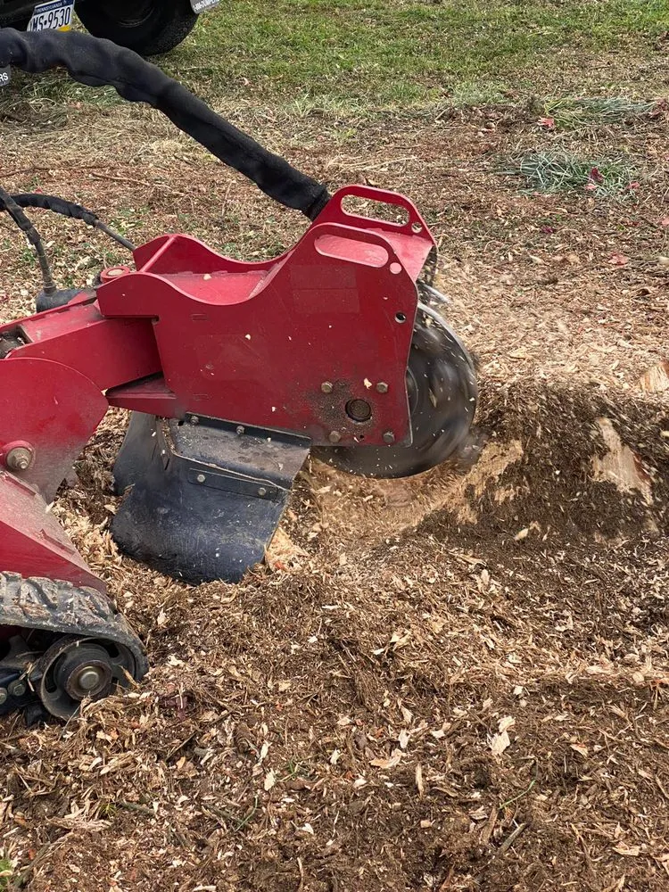 Custom yard cleanup service in Lancaster, PA by HBA Landscaping