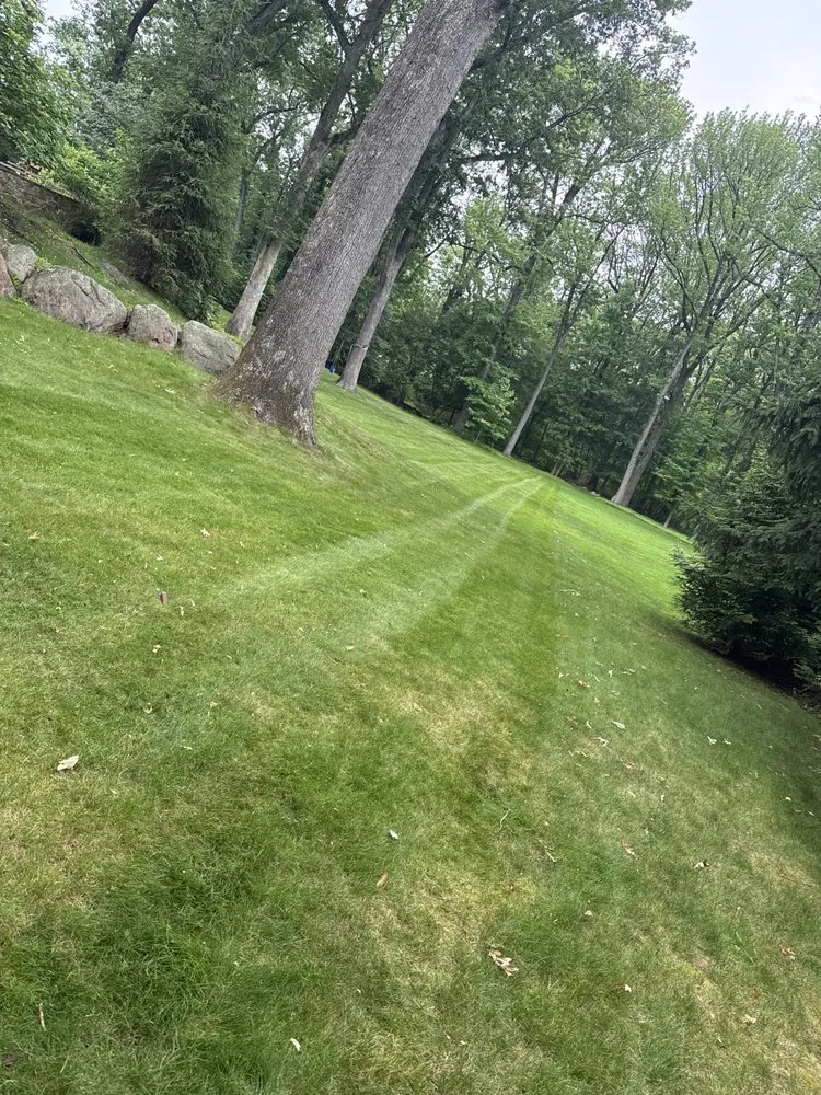 Professional residential landscaping experts serving Birmingham, MI - HBB Landscaping Services