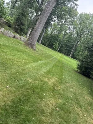 HBB Landscaping Services