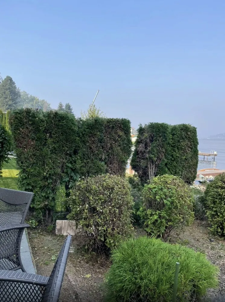 Custom landscaping services in Seattle, WA by HBD Home & Maintenance