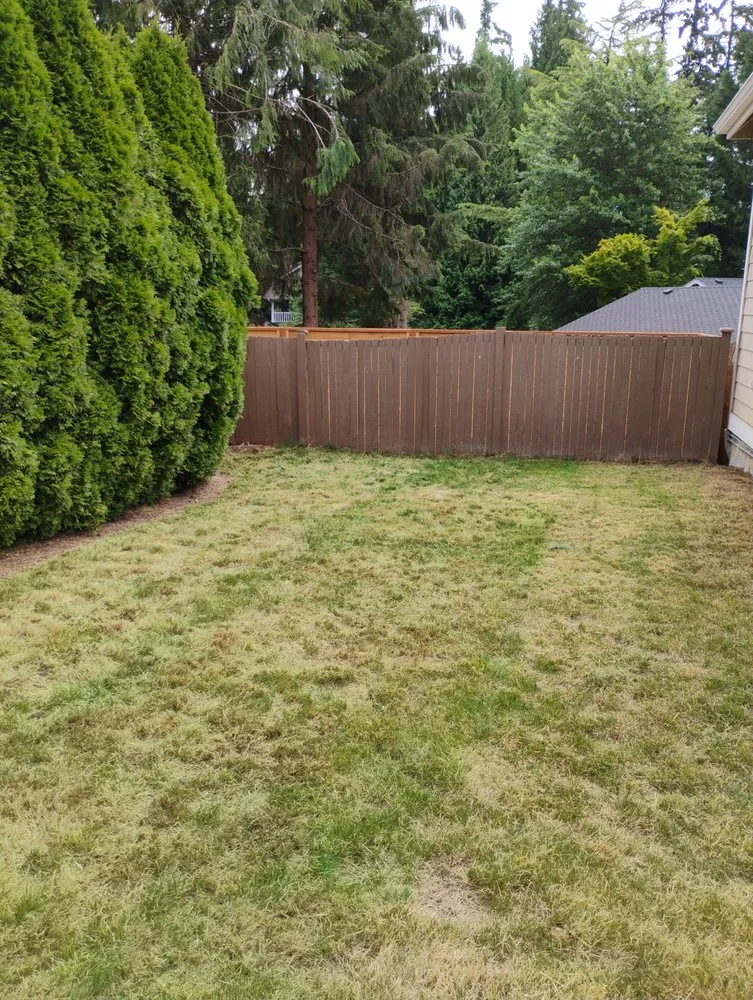 Top-rated landscaping services with custom design across Seattle, WA - HBD Home & Maintenance