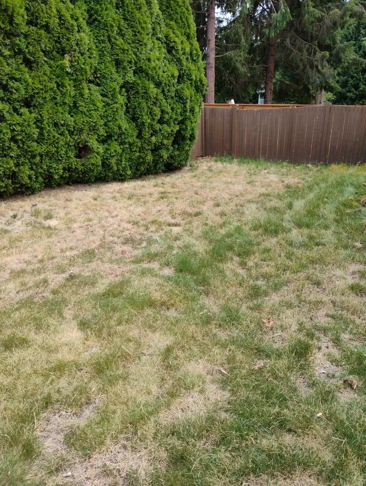 Reliable landscaping services in Seattle, WA by HBD Home & Maintenance