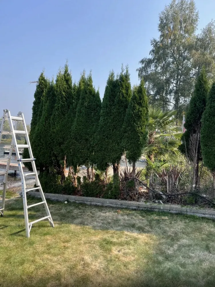 Top-rated residential landscaping for outdoor upgrades across Seattle, WA - HBD Home & Maintenance