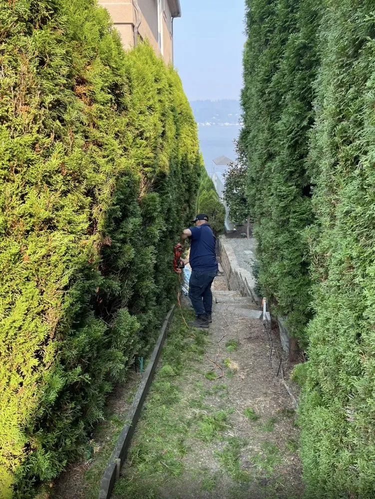 Trusted landscape installation in Seattle, WA by HBD Home & Maintenance