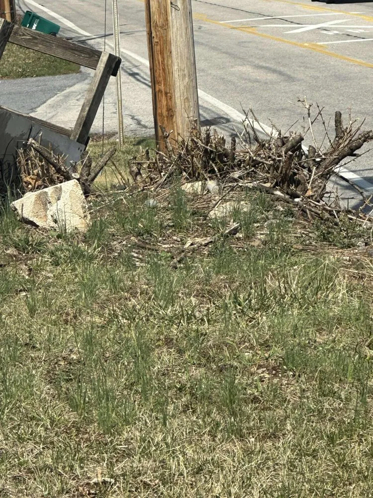 Professional landscape installation in Harrisburg, PA by Hbg Clutch