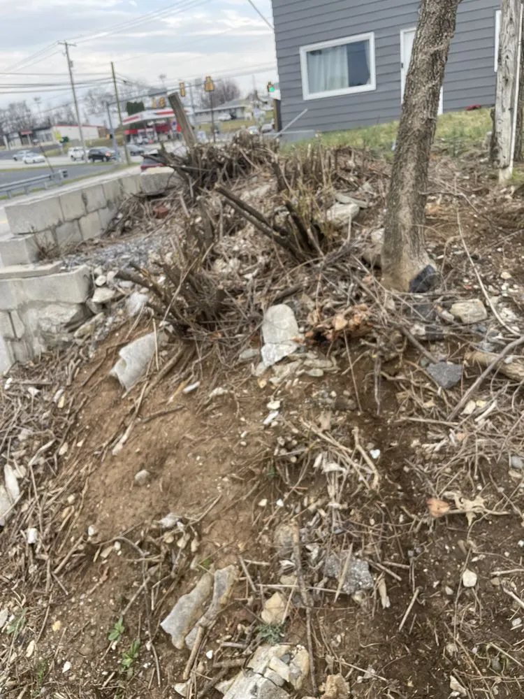 Top-rated yard cleanup service for residential properties across Harrisburg, PA - Hbg Clutch