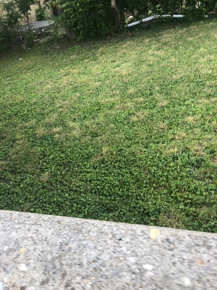 Local outdoor landscaping experts serving Florence, KY - HBM Solutions