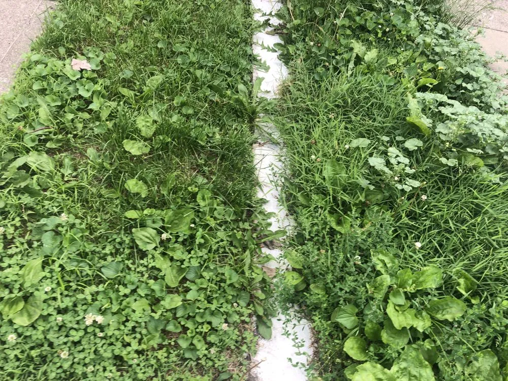 Local yard maintenance with custom design across Florence, KY - HBM Solutions