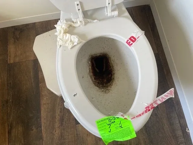 Local outdoor landscaping near you in Florence, KY by HBM Solutions