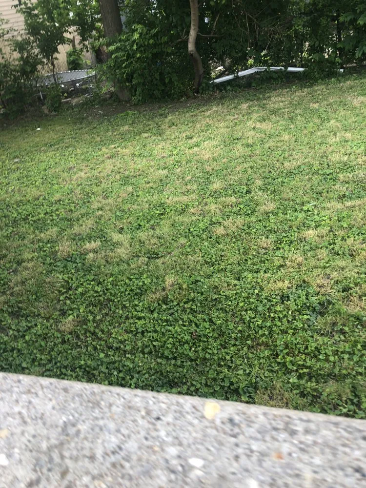 Custom garden landscaping in Florence, KY by HBM Solutions