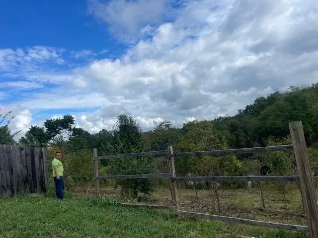 Professional landscape design in Florence, KY by HBM Solutions