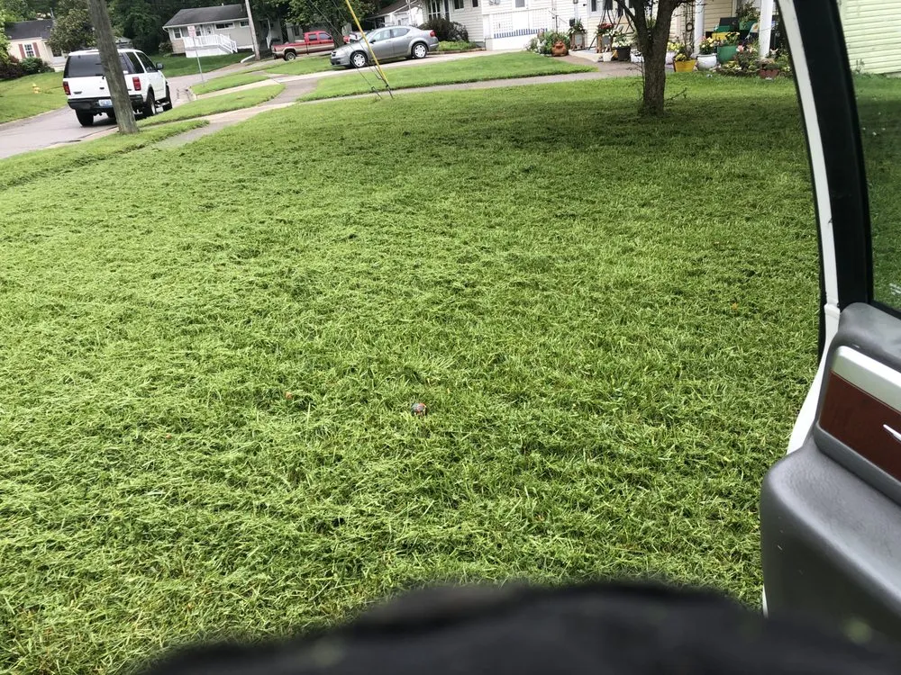 Top-rated yard cleanup service in Florence, KY by HBM Solutions