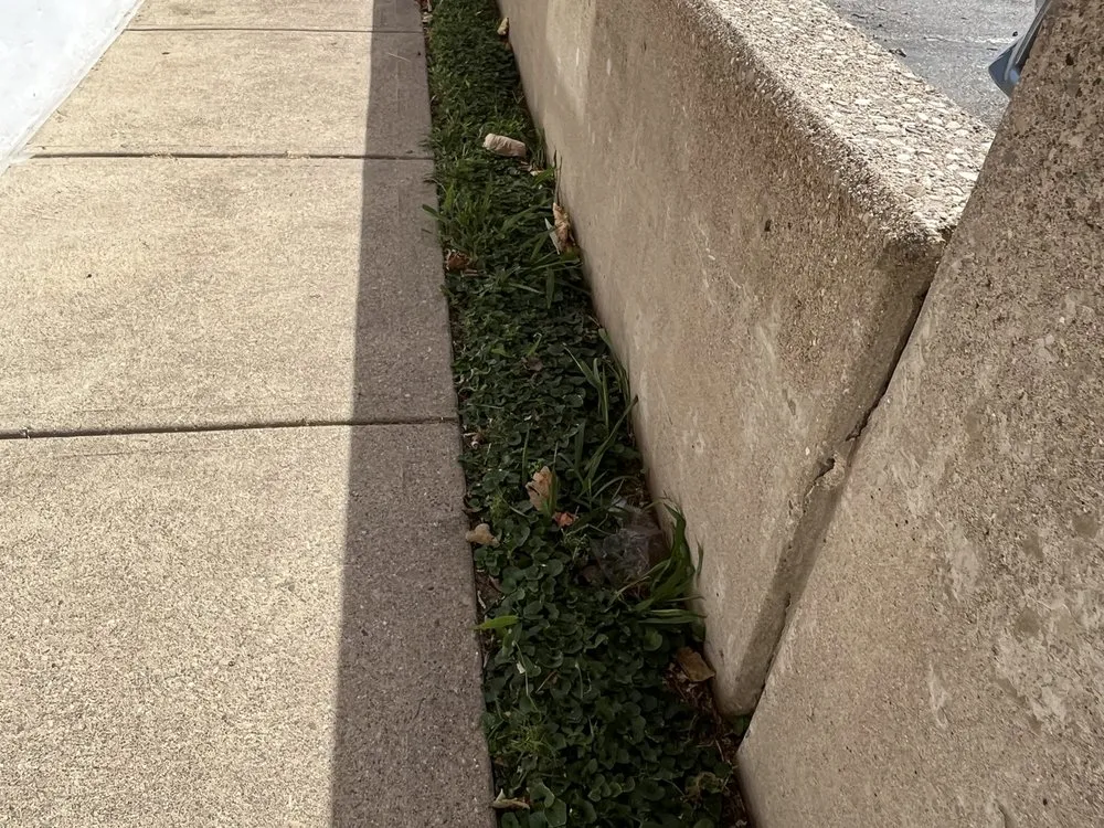 Expert lawn mowing service with custom design across Florence, KY - HBM Solutions