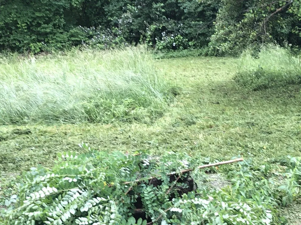 Local garden landscaping for year-round maintenance across Florence, KY - HBM Solutions