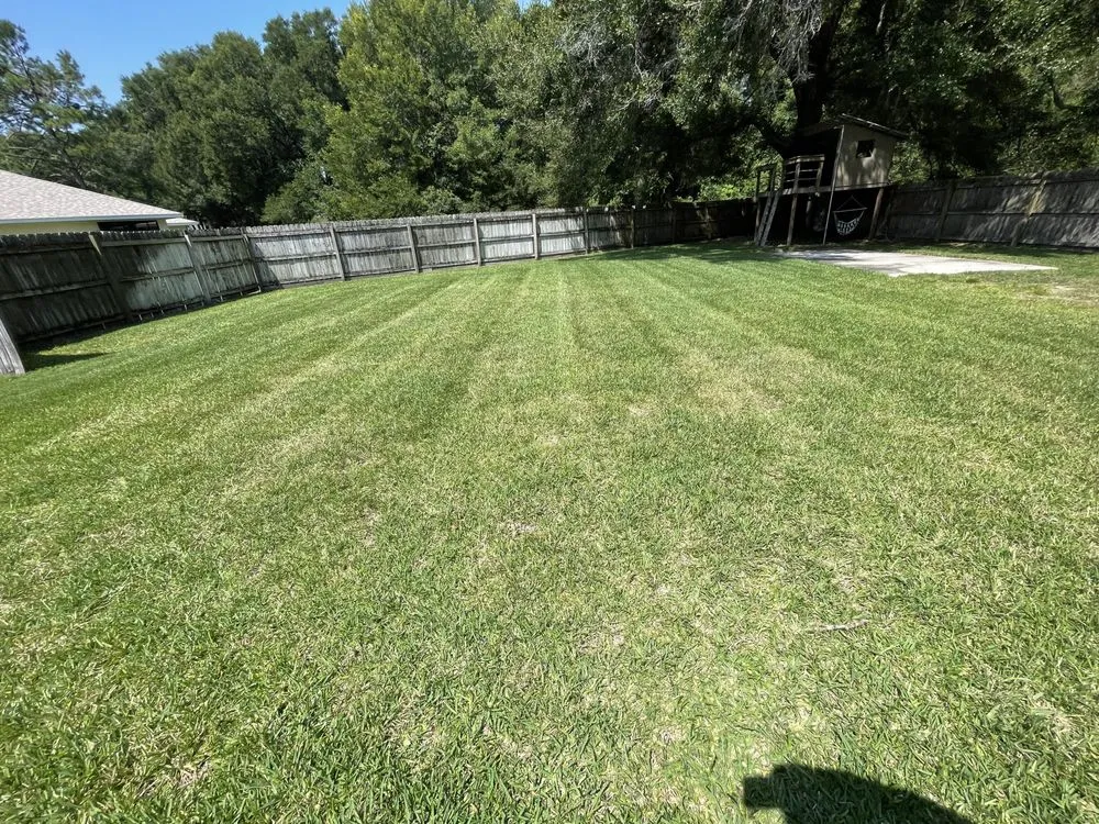 Professional outdoor landscaping in Ocala, FL by HB’s Lawn Care & More