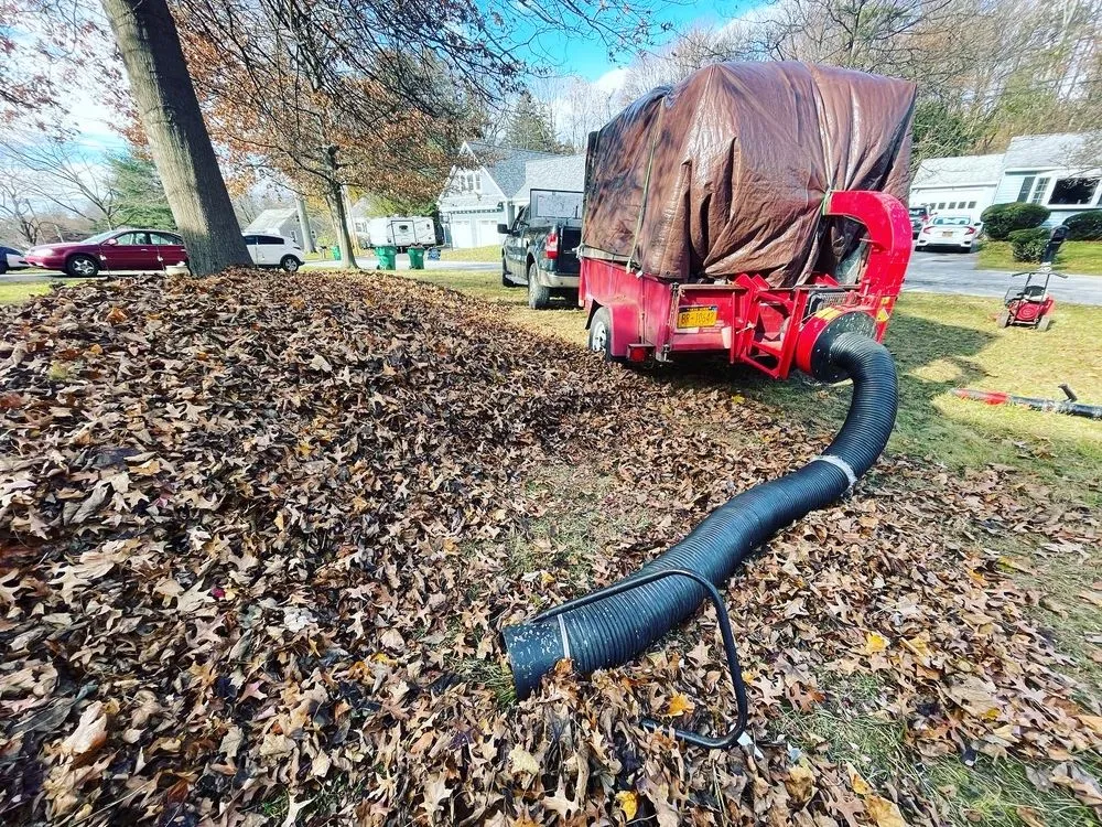 Professional yard cleanup service experts serving Wappingers Falls, NY - HC & Sons Landscape & Tick Control