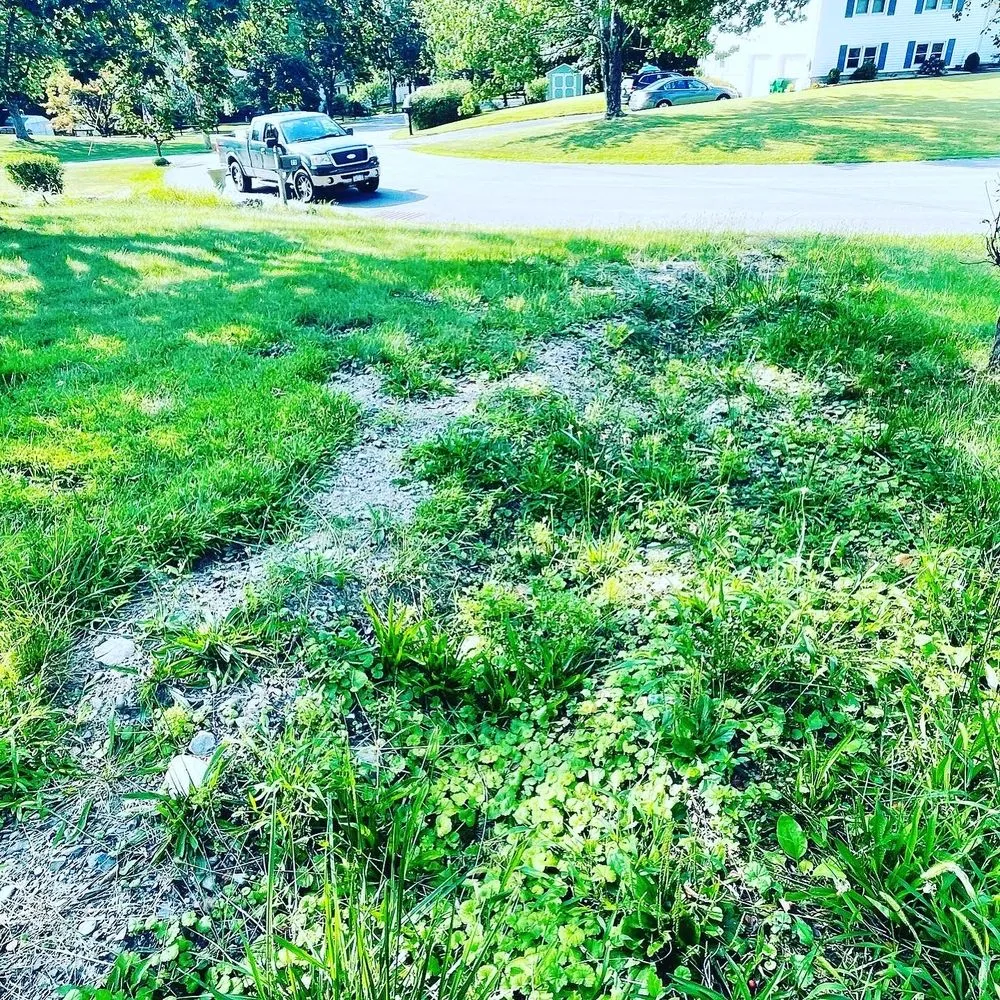 Reliable yard maintenance in Wappingers Falls, NY by HC & Sons Landscape & Tick Control