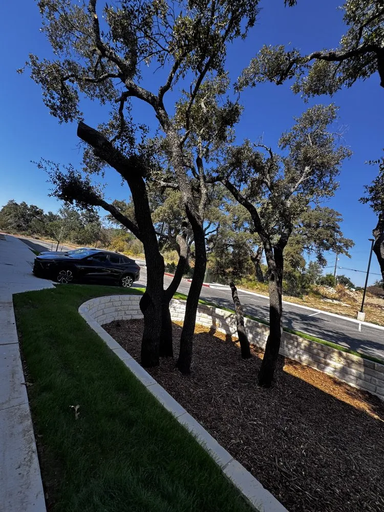 Reliable yard cleanup service for beautiful yards in Lockhart, TX by Hc Builds