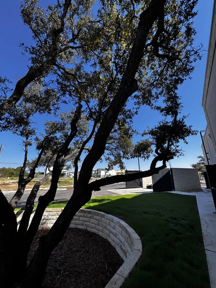 Expert yard maintenance experts serving Lockhart, TX - Hc Builds