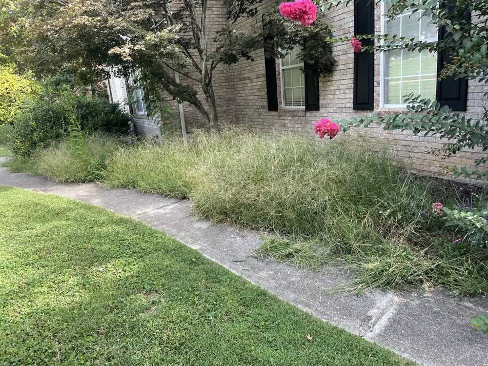 Top-rated yard maintenance in Knoxville, TN by H&C Gutter Cleaning and Maintenance