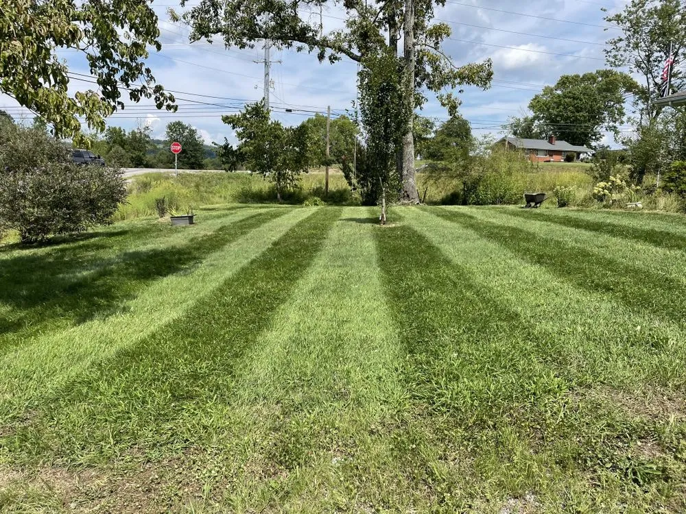 Custom outdoor landscaping for residential properties across Knoxville, TN - H&C Gutter Cleaning and Maintenance