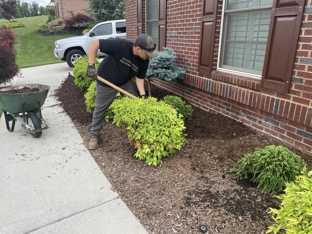 Professional outdoor landscaping in Knoxville, TN by H&C Gutter Cleaning and Maintenance