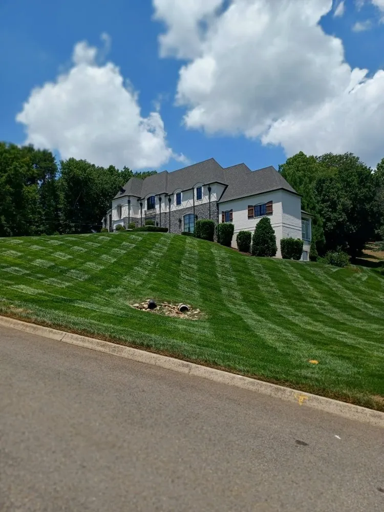 Reliable lawn care service in Knoxville, TN - H&C Gutter Cleaning and Maintenance