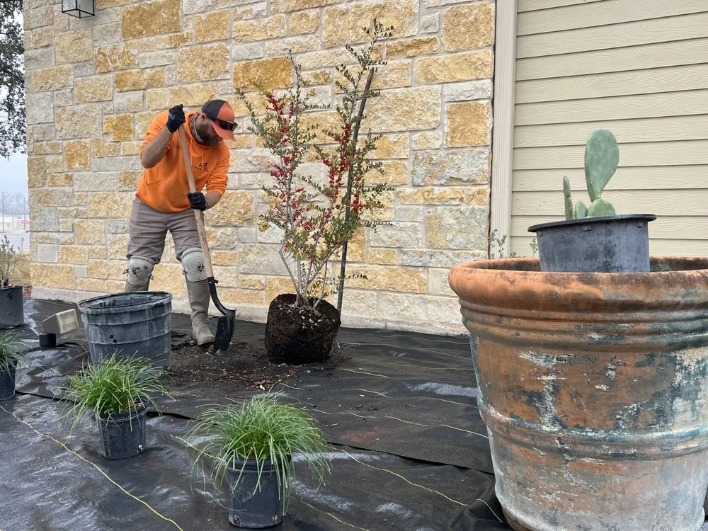 Trusted yard cleanup service for year-round maintenance across Kerrville, TX - HC Lawn Care