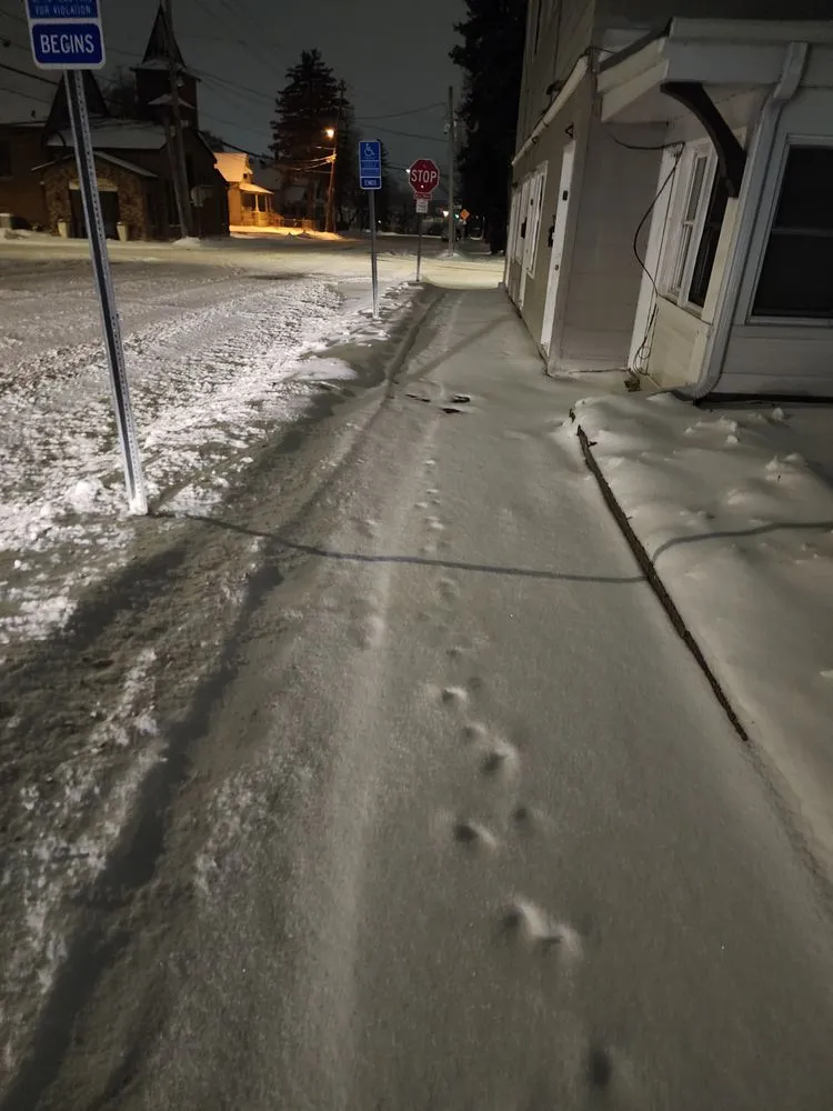 Trusted garden landscaping in Brooklyn Park, MN by H&C Services