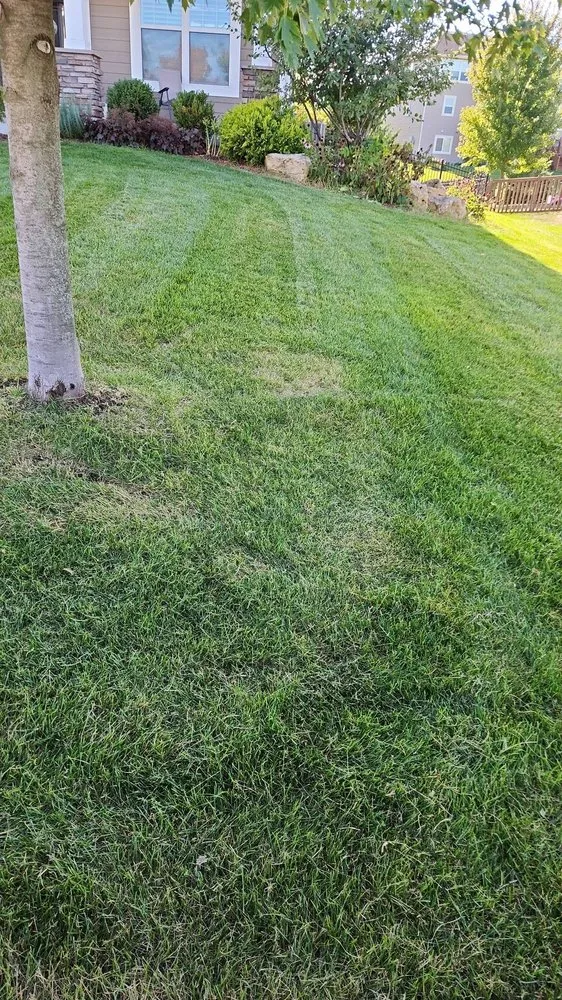 Expert garden landscaping in Brooklyn Park, MN - H&C Services