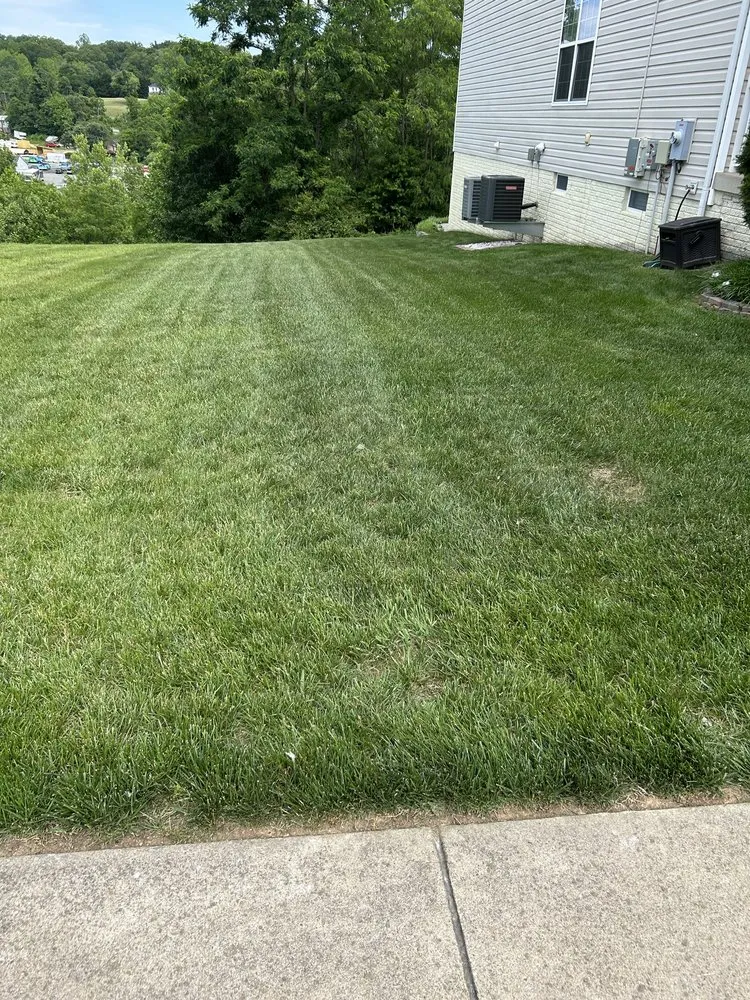 Reliable lawn mowing service with custom design in Fredericksburg, VA by H&C Services