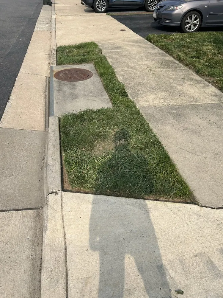 Expert yard maintenance experts serving Fredericksburg, VA - H&C Services