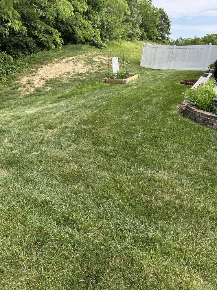 Top-rated yard cleanup service near you across Fredericksburg, VA - H&C Services