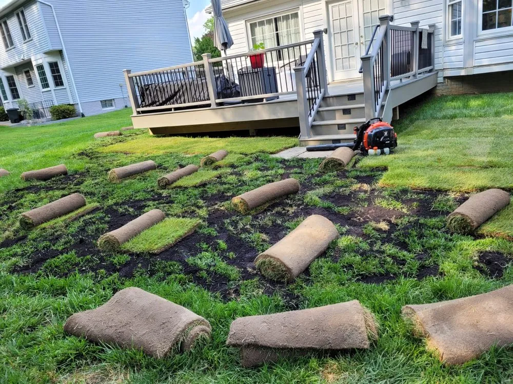 Affordable landscape installation with custom design in College Park, MD by HCA LAWNCARE