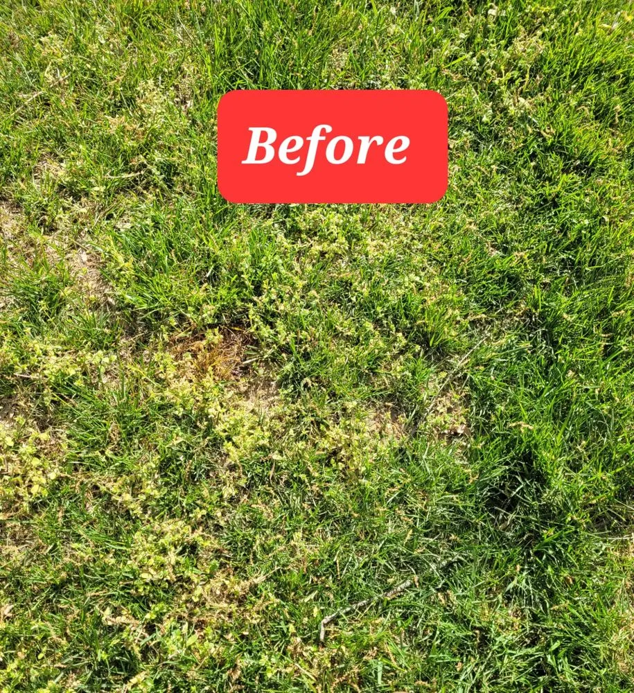 Affordable garden landscaping in College Park, MD by HCA LAWNCARE