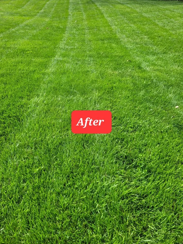 Expert yard cleanup service in College Park, MD by HCA LAWNCARE