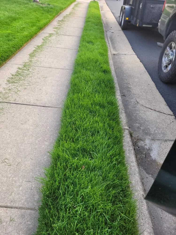 Trusted yard maintenance in College Park, MD by HCA LAWNCARE