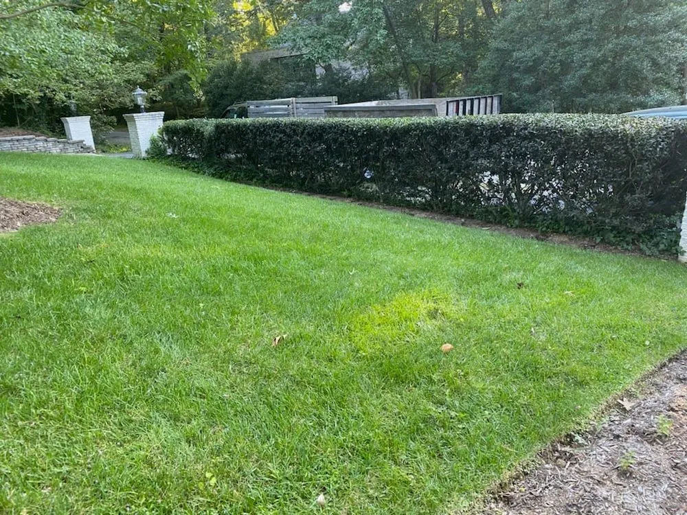 Local landscaping services in College Park, MD - HCA LAWNCARE