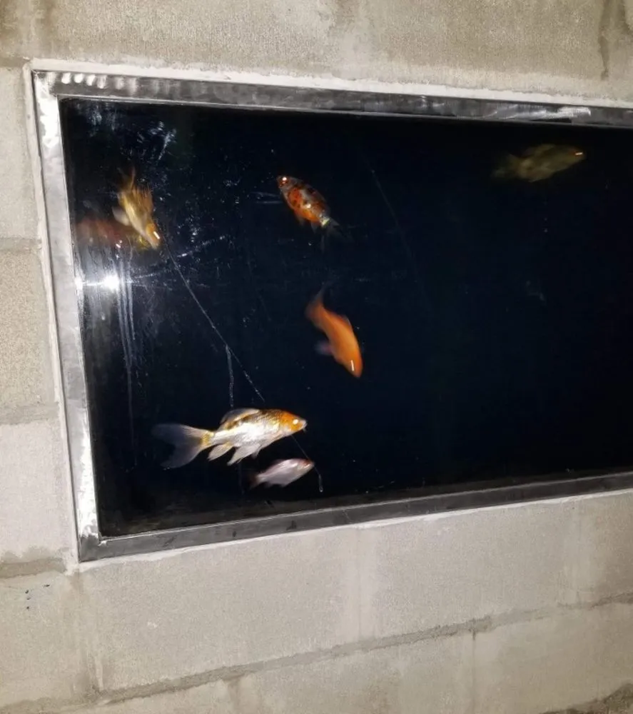 Custom landscape design near you in University Place, WA by Hch Aquatic Creations