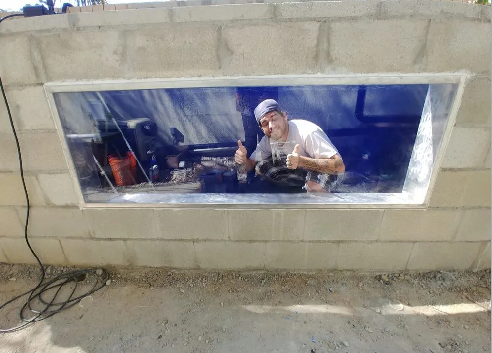 Professional yard maintenance with custom design across University Place, WA - Hch Aquatic Creations