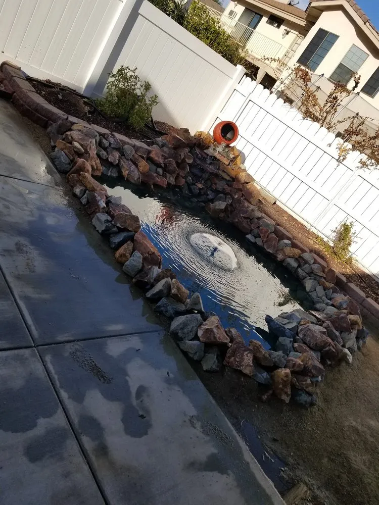 Affordable yard cleanup service in University Place, WA - Hch Aquatic Creations