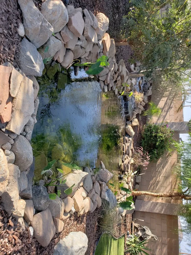 Local residential landscaping near you across University Place, WA - Hch Aquatic Creations
