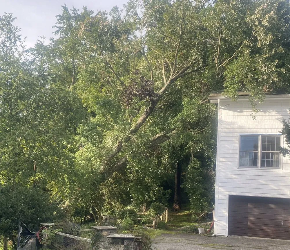 Reliable lawn care service in Peekskill, NY by HCR General Construction Corp