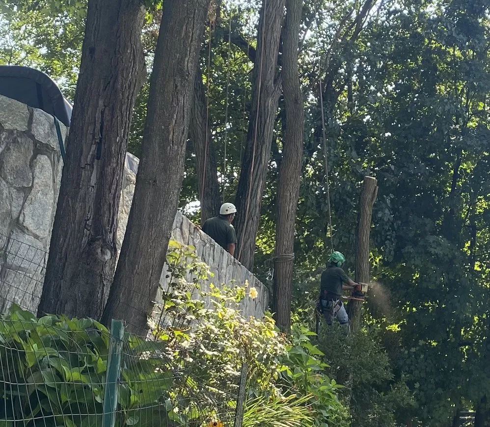 Top-rated yard maintenance with custom design across Peekskill, NY - HCR General Construction Corp