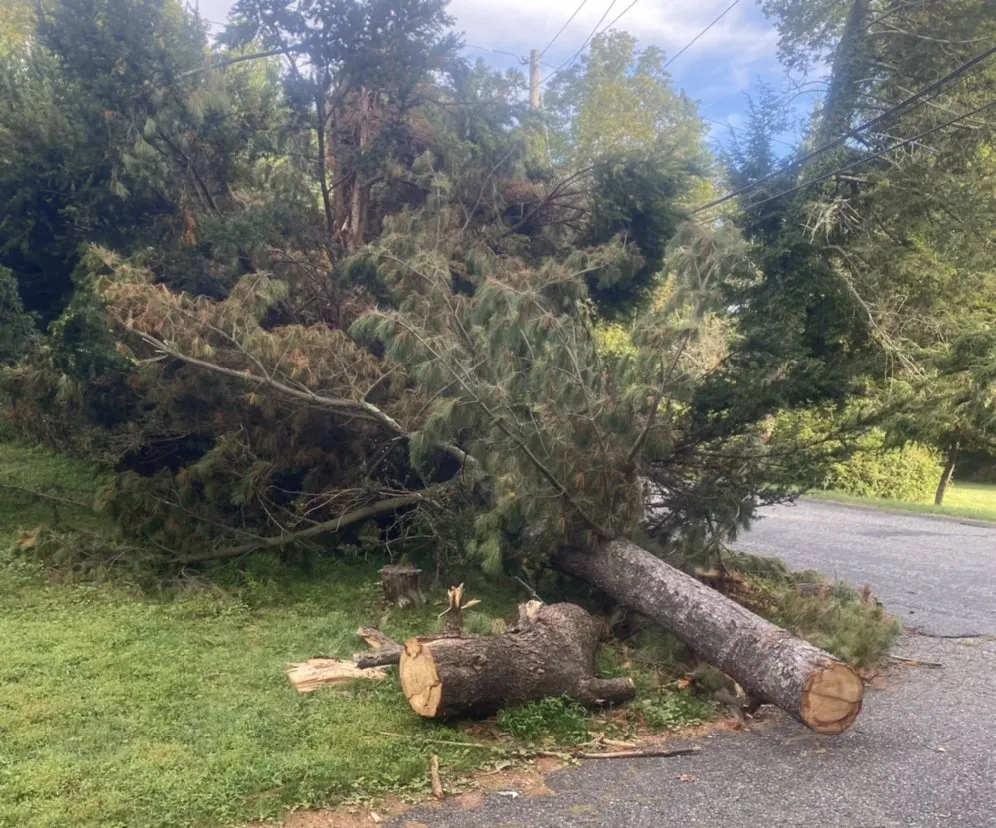 Affordable yard maintenance for beautiful yards across Peekskill, NY - HCR General Construction Corp