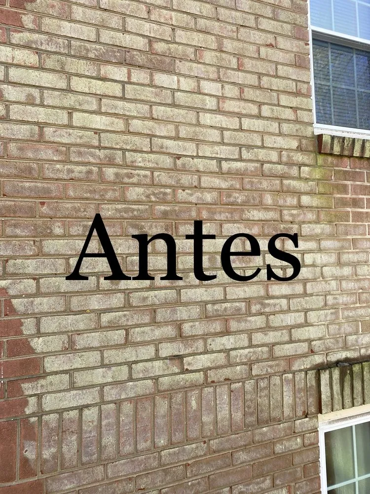 Reliable yard cleanup service in Woodbridge, VA by H.C.RODRIGUEZ LANDSCAPING